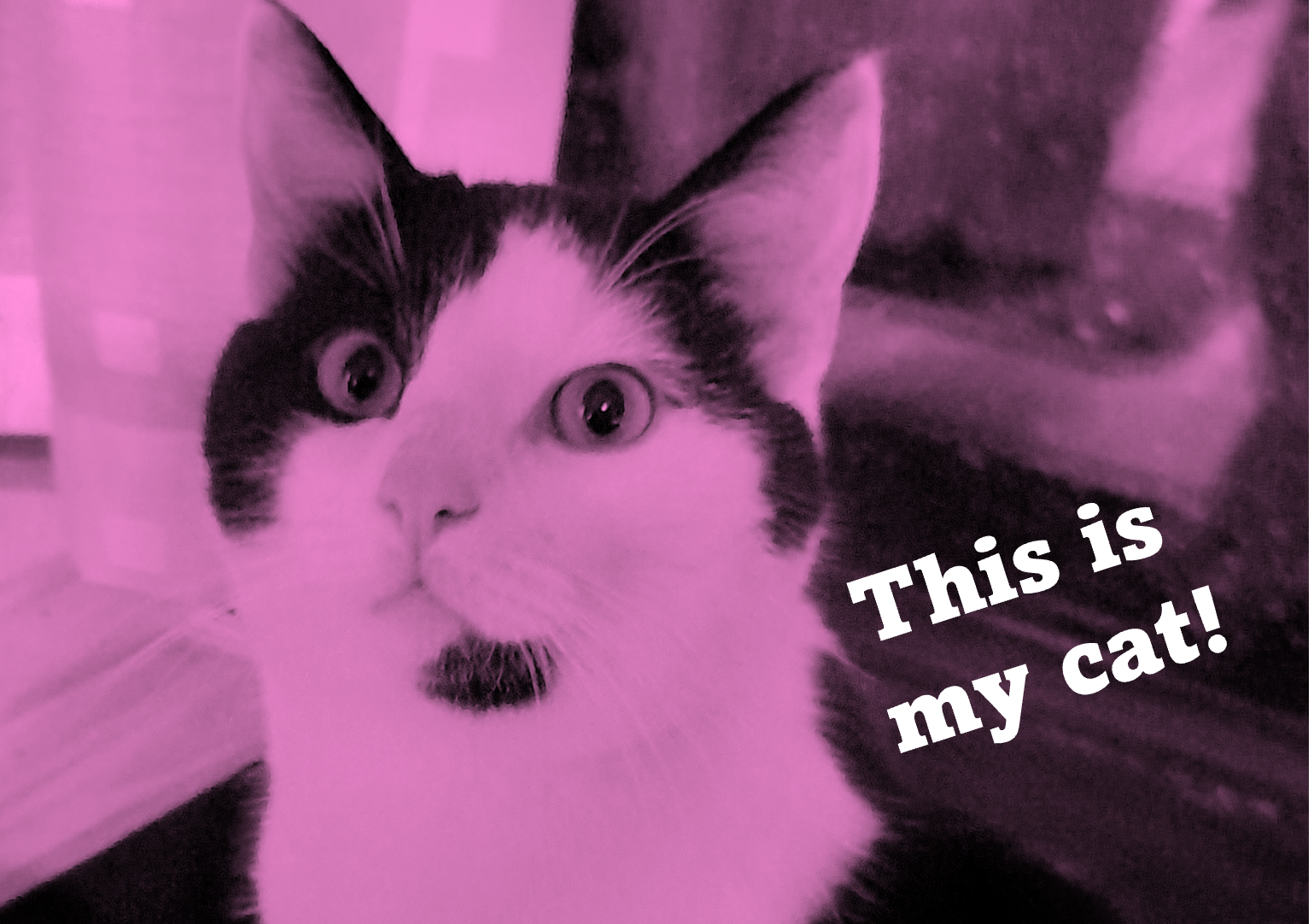 My personal Tool-kit to drive the Digitalisation of Marketing