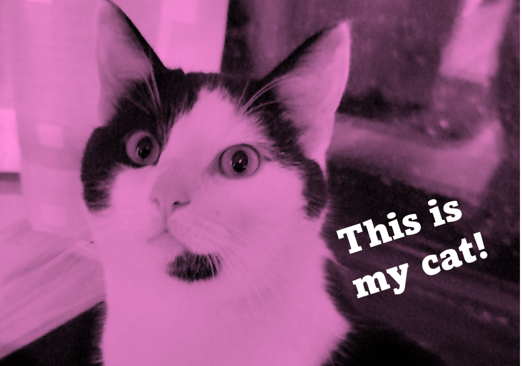 My personal Tool-kit to drive the Digitalisation of&nbsp;Marketing